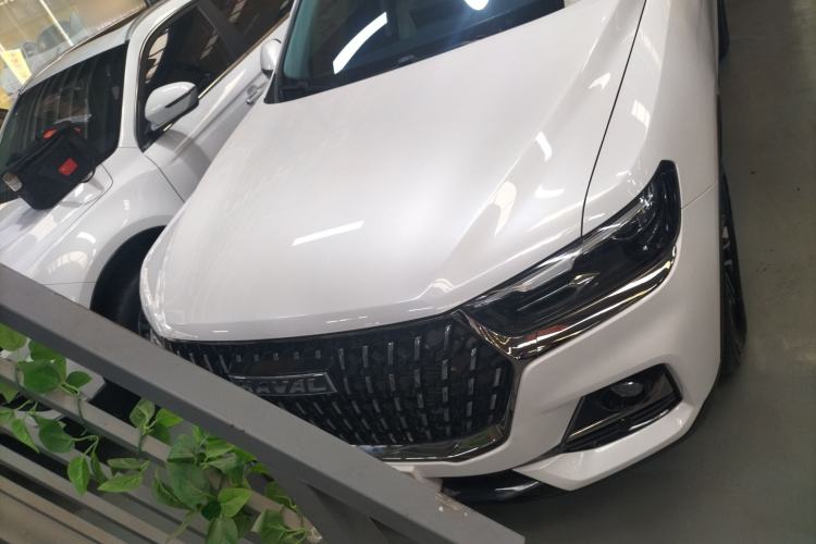 Used Haval H6 2023 National Trend Edition 1.5T Automatic Urban Version