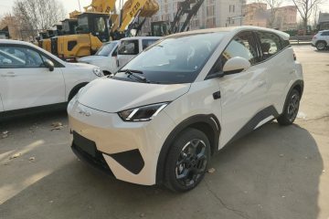 Used BYD Seagull 2025 Smart Drive Version 305 km Freedom Edition