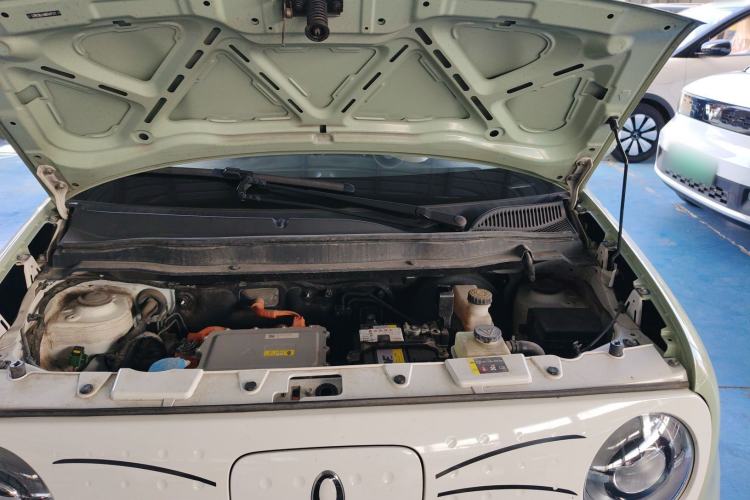 Used ORA Black Cat 2022 301km "Cute Pet" Version – Lithium Iron Phosphate
