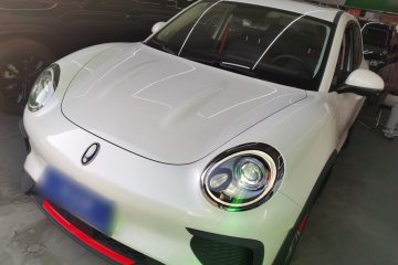 Used ORA Good Cat GT 2024 Revised Edition Mulan Version 401 km Luxury Grade