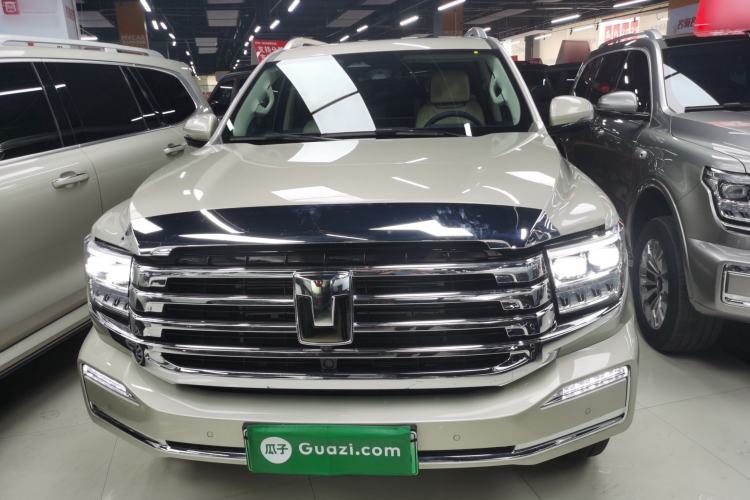 Used Tank 500 New Energy 
