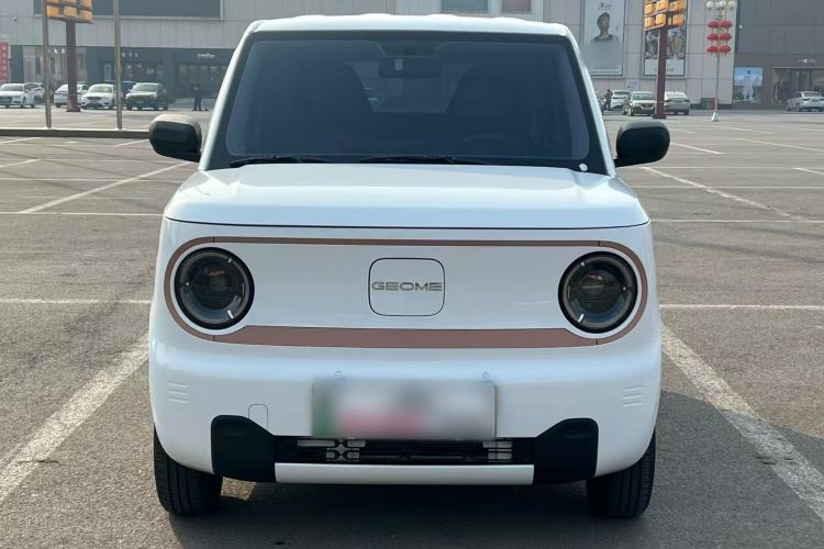 Used  Panda 2024 Panda Mini 200km Endurance Bear