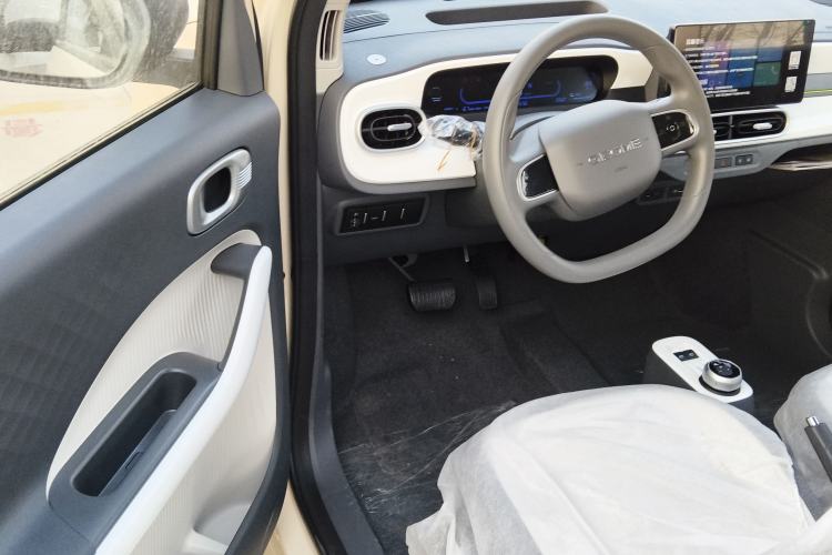 Used  Panda 2025 210 km – Yuanqi Bear
