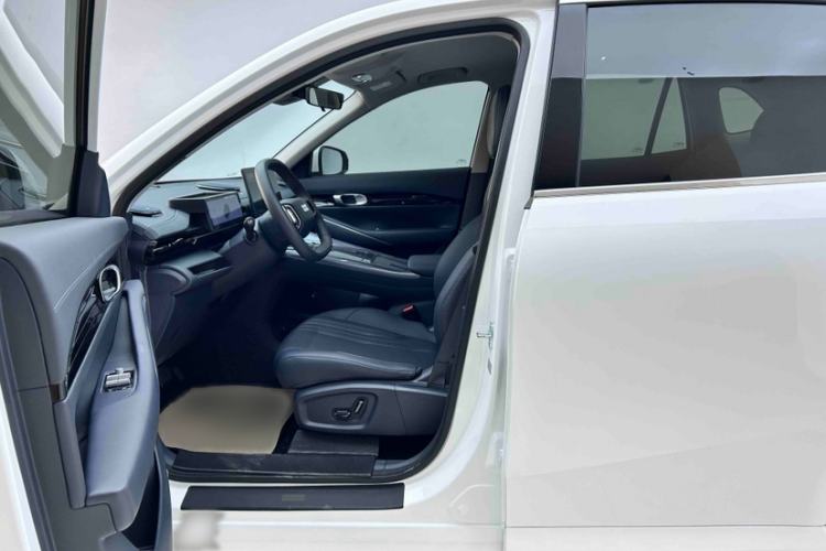 Used  E5 2024 530km Long-Range Version