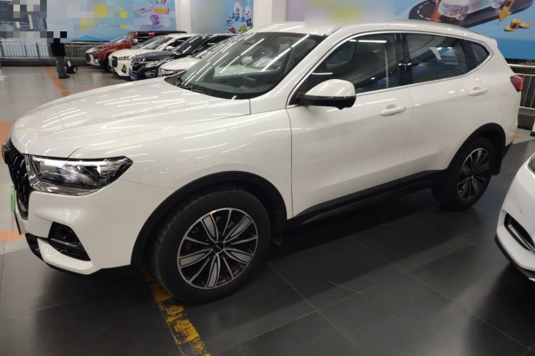 Used Haval H6 2023 National Trend Edition 1.5T Automatic Champion Version
