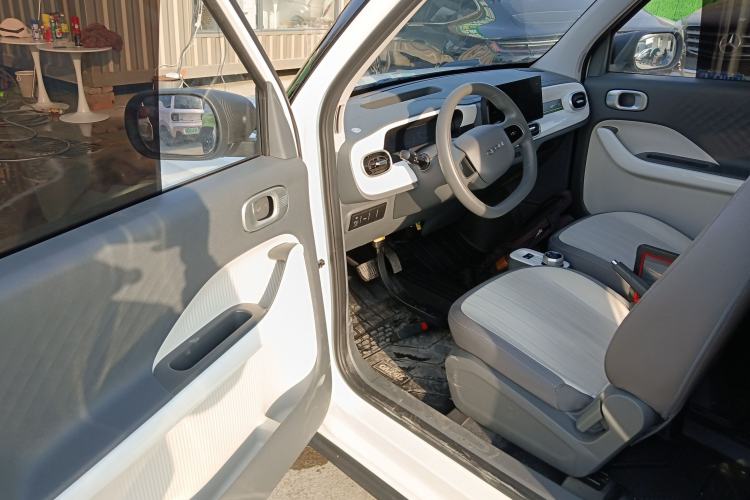 Used  Panda 2024 200km Panda Kart
