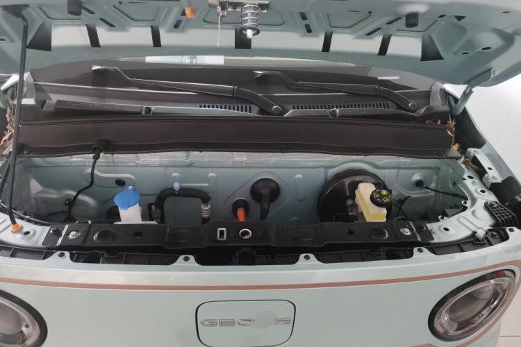 Used  Panda 2024 Panda Mini 200km Endurance Bear
