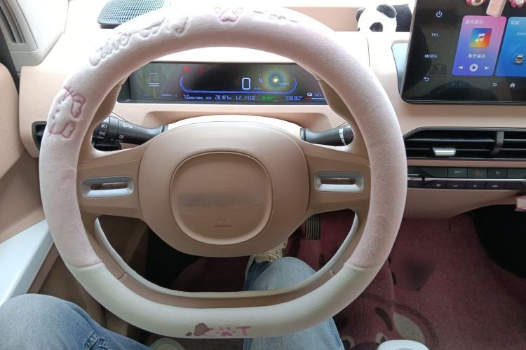 Used  Panda 2023 Panda Mini 200km Endurance Bear
