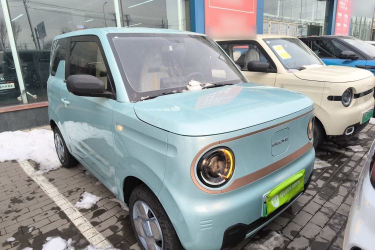 Used  Panda 2024 Panda Mini 200km Endurance Bear
