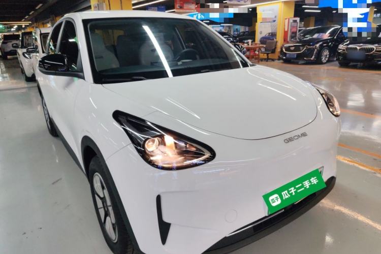 Used  Geome 2025 310km Youth Edition
