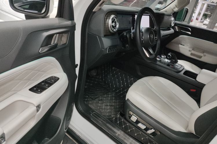 Used Tank 300 New Energy 2024 Hi4-T
