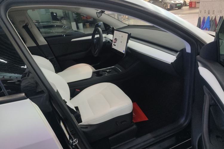 Used Tesla Model Y 2021 Standard Range Rear-Wheel Drive Version
