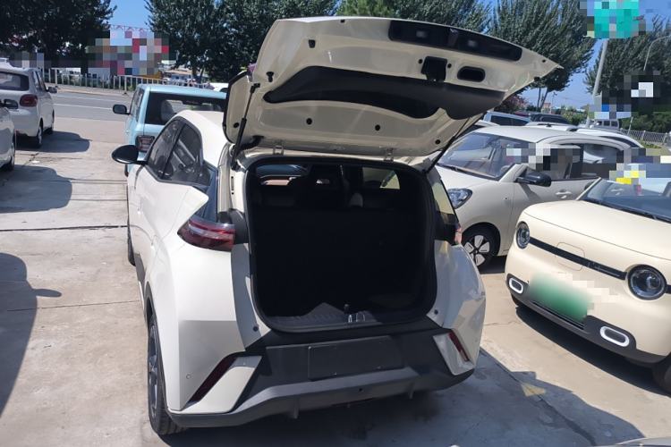 Used BYD Seagull 2023 Free Edition
