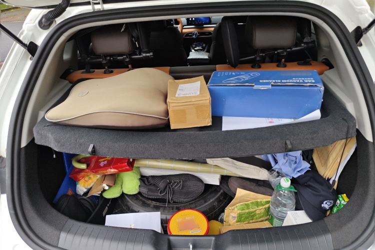 Used BYD e2 2021 Luxury Model
