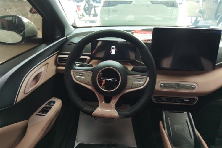 Used BYD Seagull 2025 Smart Drive Version 305 km Freedom Edition
