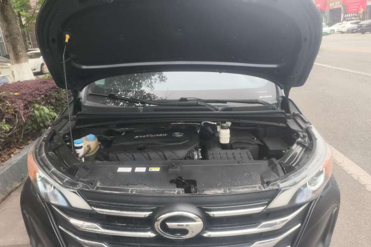 Used GAC Trumpchi M6 2019 270T DCT Luxury Edition (7-seater) China VI
