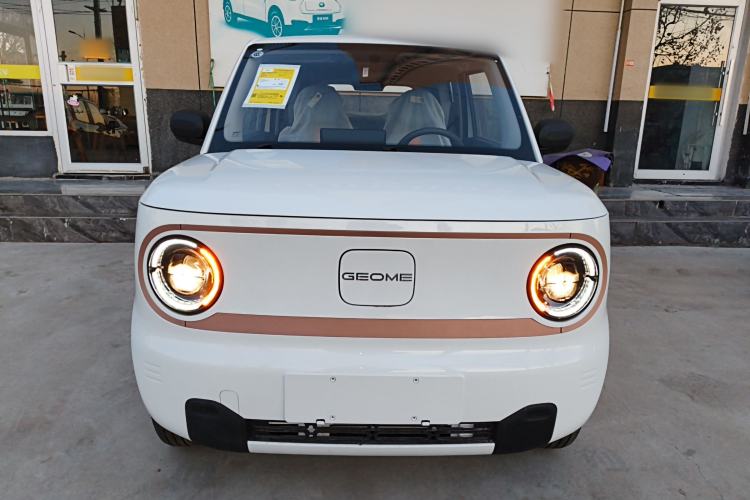 Used  Panda 2024 Panda Mini 200km Endurance Bear

