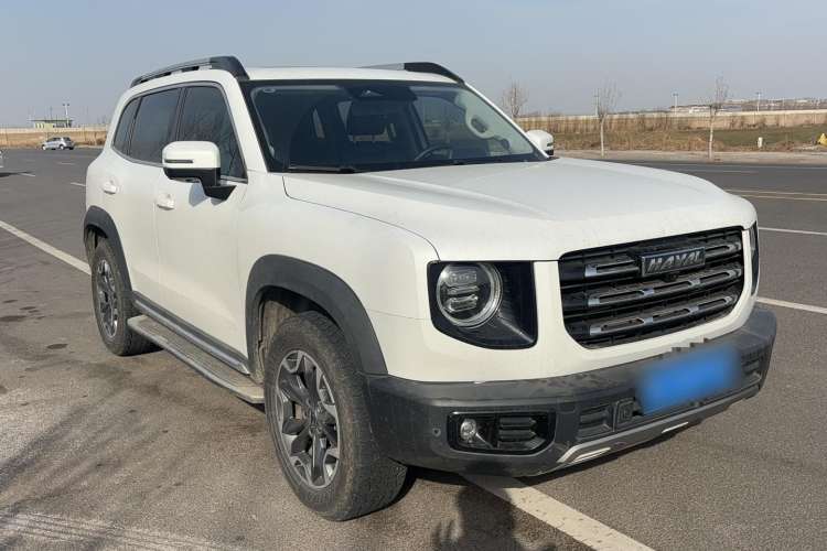 Used Haval DARGO 2021 2.0T DCT 4x4 Chinese Rural Dog Edition
