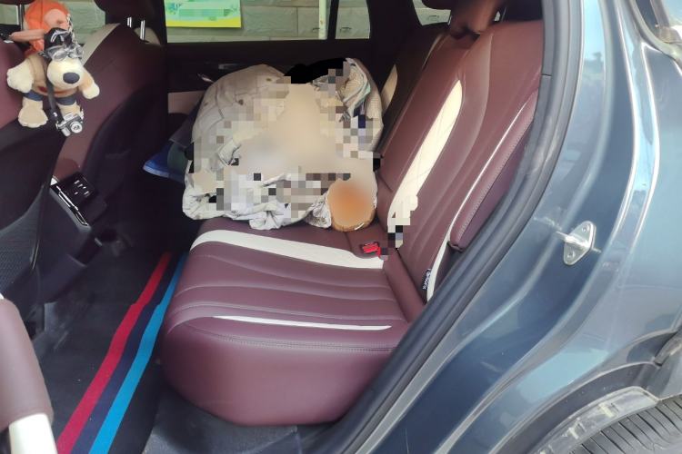 Used Geely Auto Monjaro L 2024 2.0TD High-Power Automatic Two-Wheel Drive Yunqi Version
