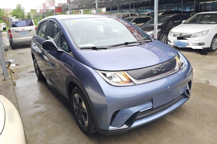 Used BYD Dolphin 2025 420km Free Edition
