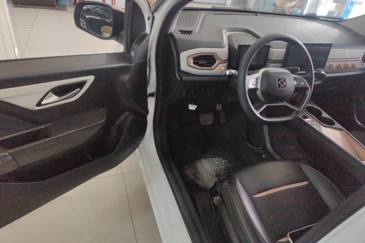 Used SOL E10X 2022 Flower Fairy Design Four-Leaf Clover