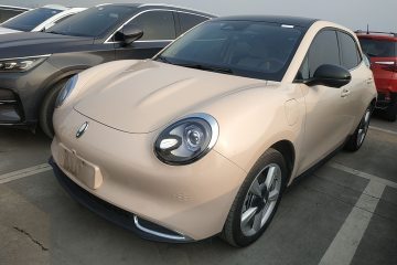 Used ORA Good Cat 2023 401 km Standard Range Luxury Version Lithium Iron Phosphate