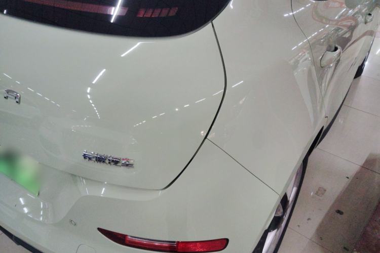 Used ORA Good Cat 2023 401 km Standard Range Luxury Version Lithium Iron Phosphate
