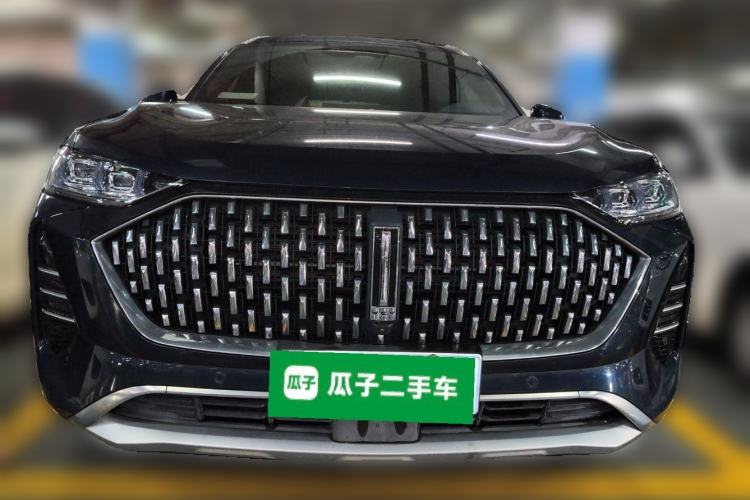 Used Wey Mocha 2021 2.0T Two-Wheel-Drive Ultra-Strong Version
