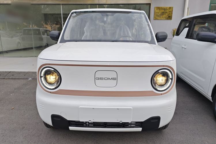 Used  Panda 2024 Panda Mini 200km Endurance Bear
