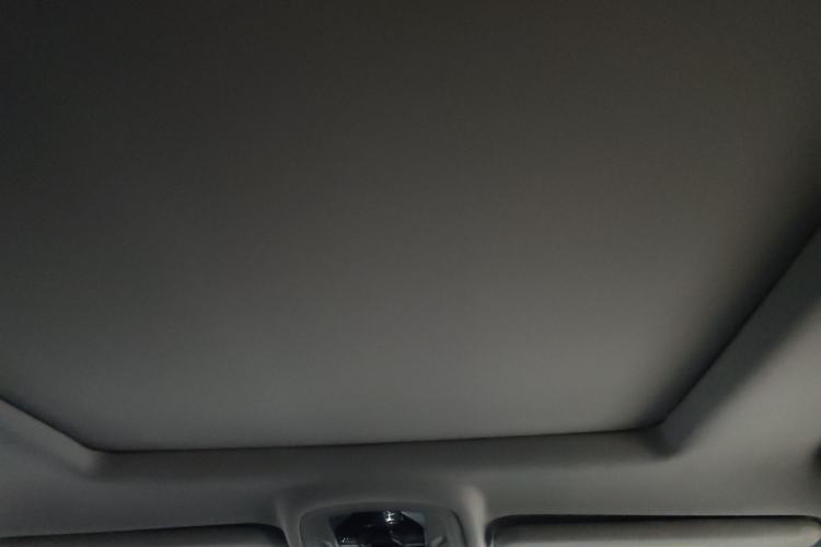 Used  Zhuifeng 2020 Chasing the Waves Edition 1.5T CVT Xingrui Version
