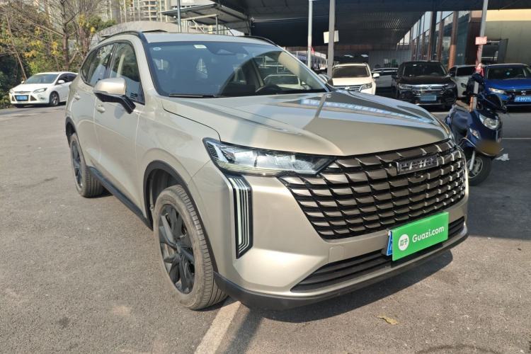 Used Haval H6 2024 1.5T Two-Wheel Drive Ultra
