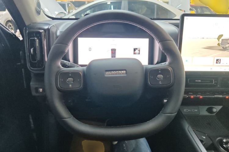 Used Haval Raptor New Energy 
