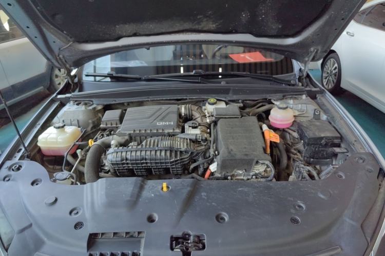 Used BYD Qin PLUS 2023 Champion Edition DM-i 55KM Leading Model
