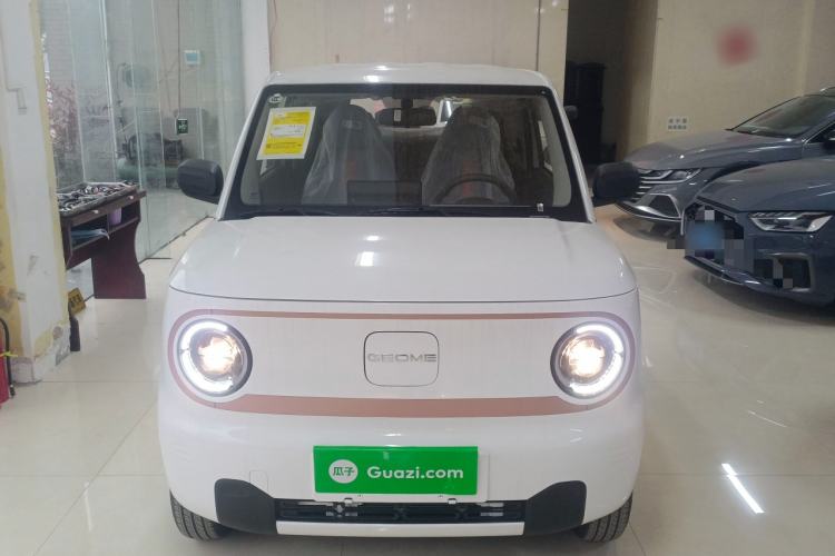 Used  Panda 2024 Panda Mini 200km Endurance Bear
