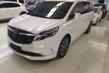 Used Buick GL8 2020 ES Land Cruiser 653T Flagship Model