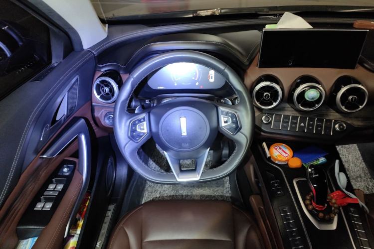 Used Wey VV7 2020 2.0T Ultra-Luxury Version
