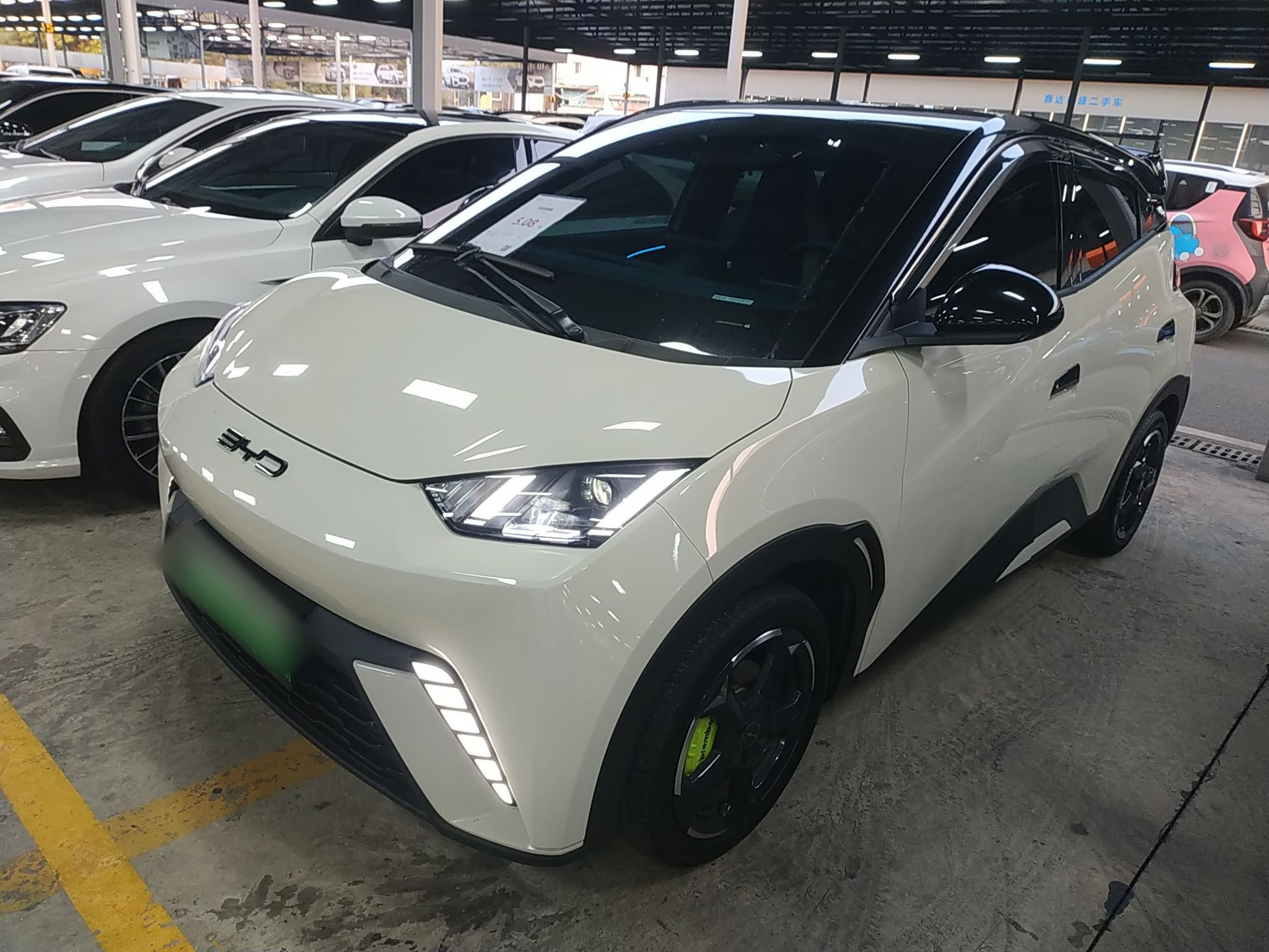 تحت مقدمة السيارة