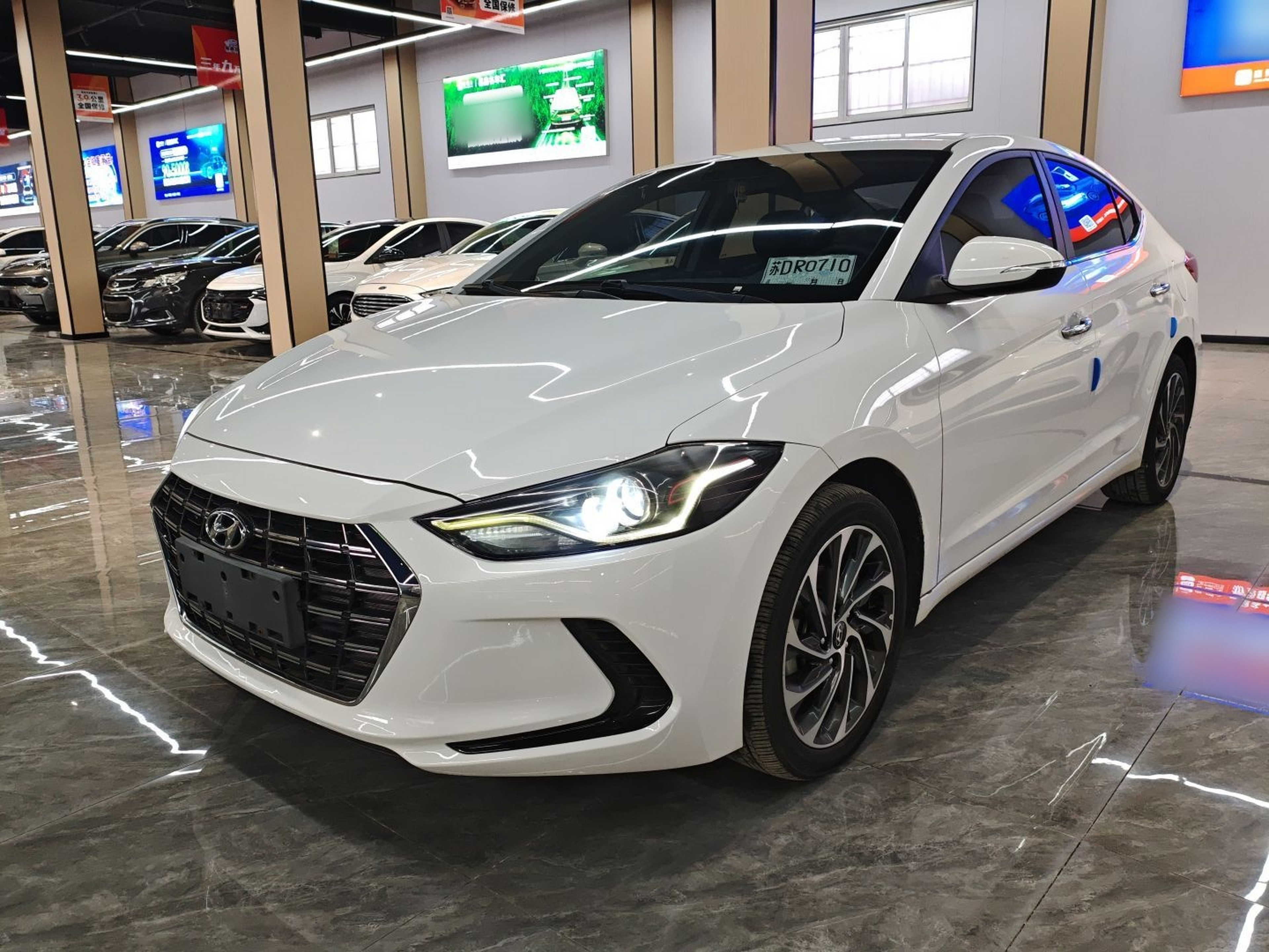 تحت مقدمة السيارة