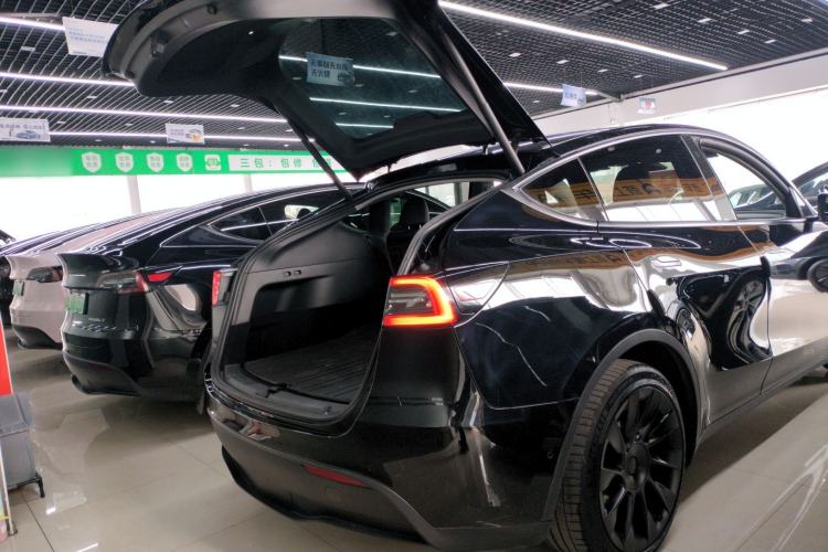 Used Tesla Model Y 2021 Standard Range Rear-Wheel Drive Version
