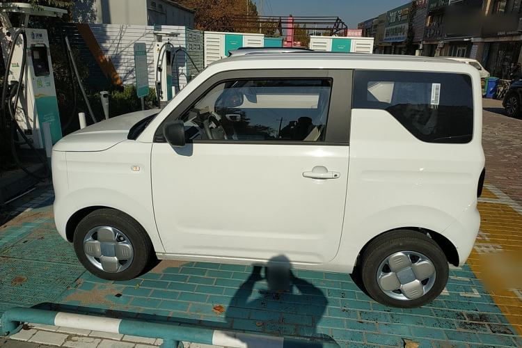Used  Panda 2024 Panda Mini 200km Endurance Bear