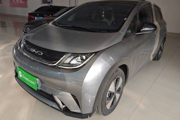 Used BYD Dolphin 2023 420 km Free Version