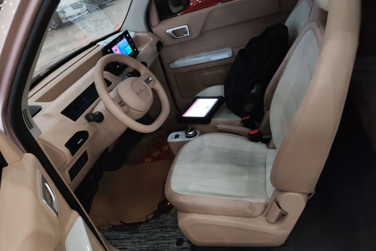 Used  Panda 2023 Panda Mini 200km Endurance Bear
