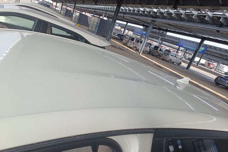 Used BYD Dolphin 2024 Honor Edition 420km Freedom Version