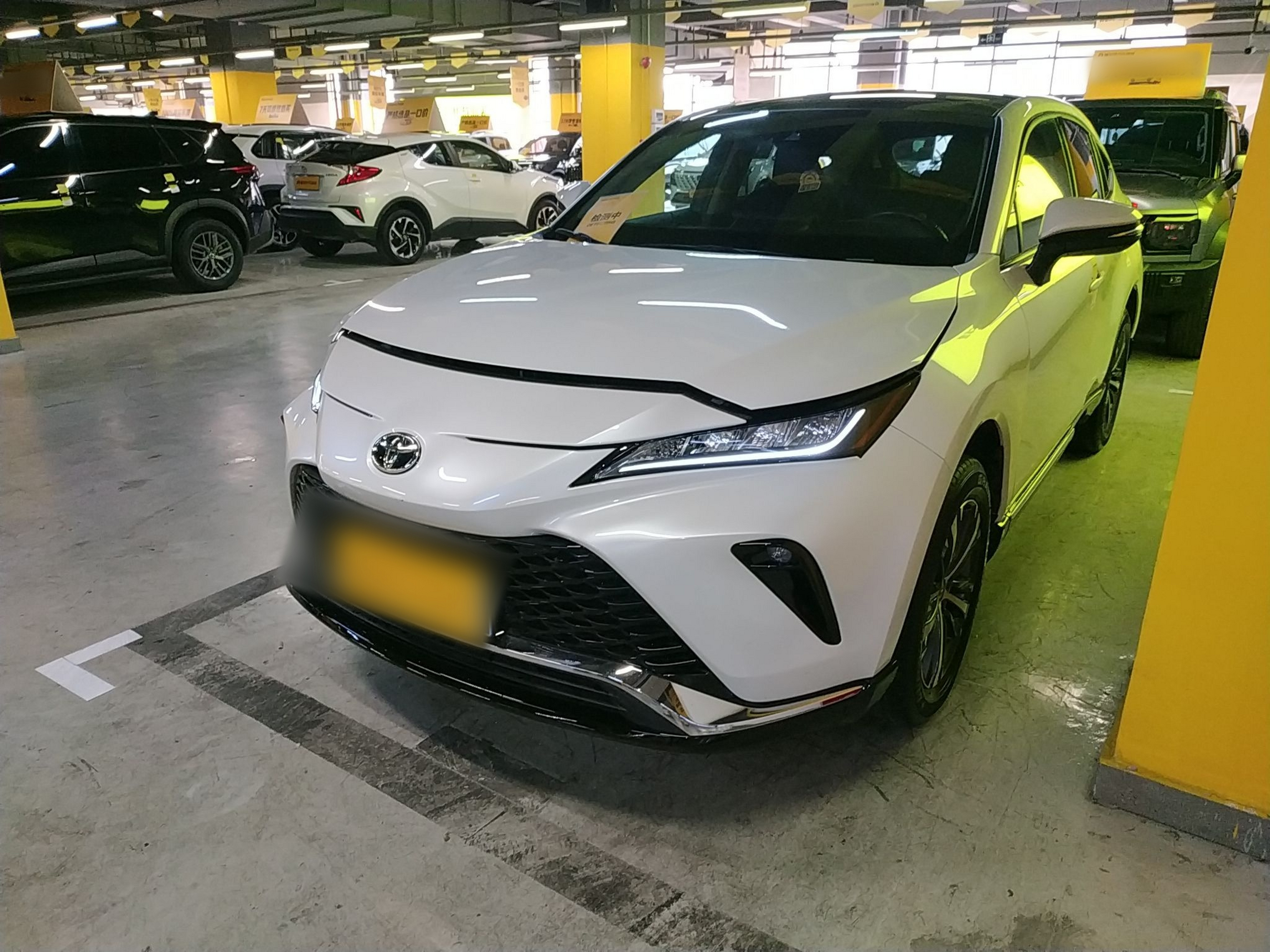 تحت مقدمة السيارة