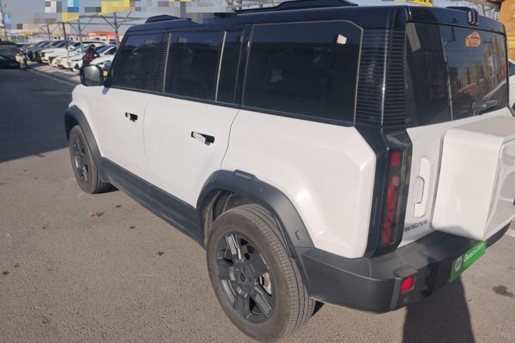 Used  03 2024 501km Two-Wheel Drive Long-Range Version
