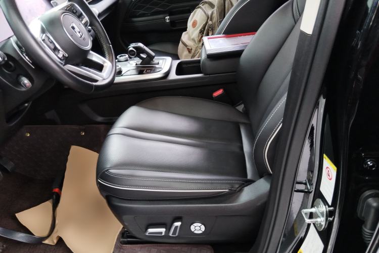 Used Tank 300 2024 2.0T Conqueror