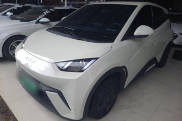 Used BYD Seagull 2023 Active Version