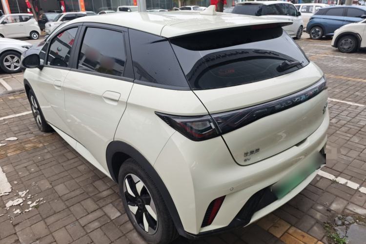Used BYD Dolphin 2025 420km Free Edition
