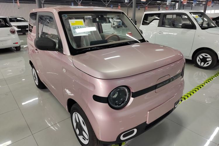 Used  Panda 2025 210 km – Yuanqi Bear
