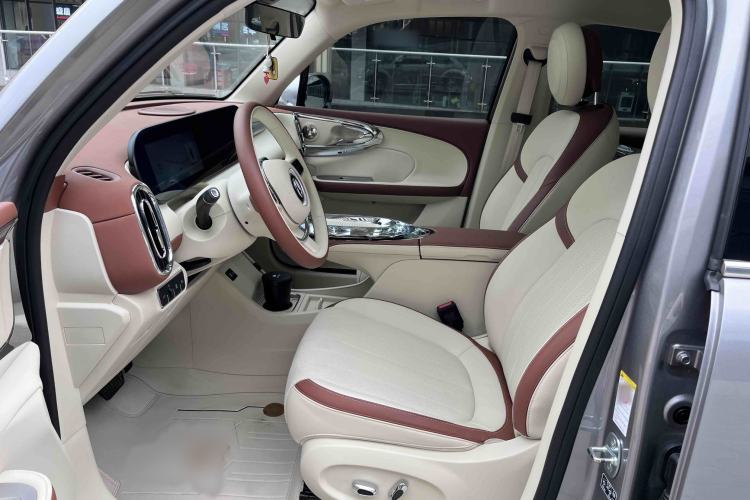 Used ORA Ballet Cat 2023 401 km Luxury Version
